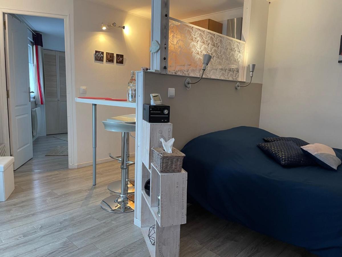 Studio Rez-De-Chaussee, A Lesquin/Lille Aeroport Ngoại thất bức ảnh